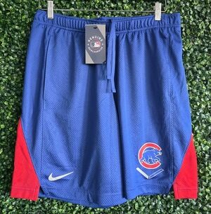 Nike Men's  Blue Athletic Mesh Shorts with Red Tag Size L